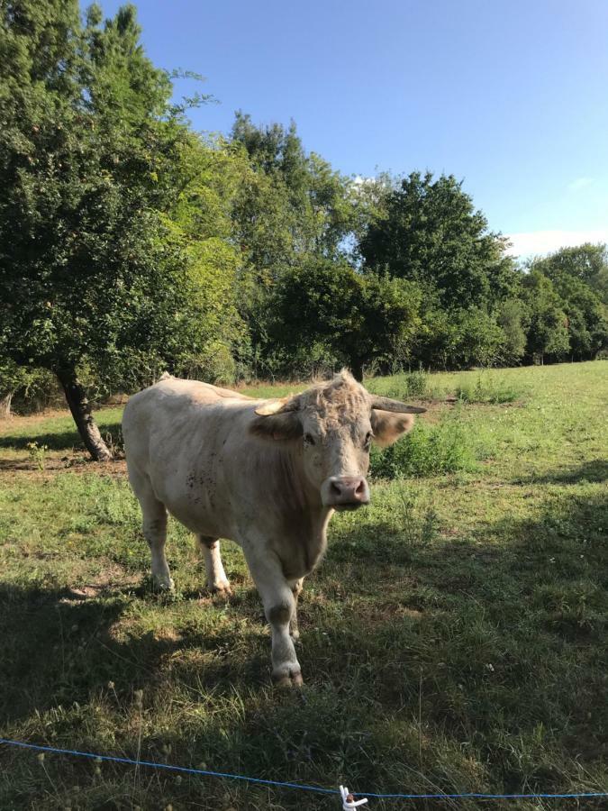 La Bergerie Du Domaine Des Buissonnets Villa Écardenville-sur-Eure Buitenkant foto