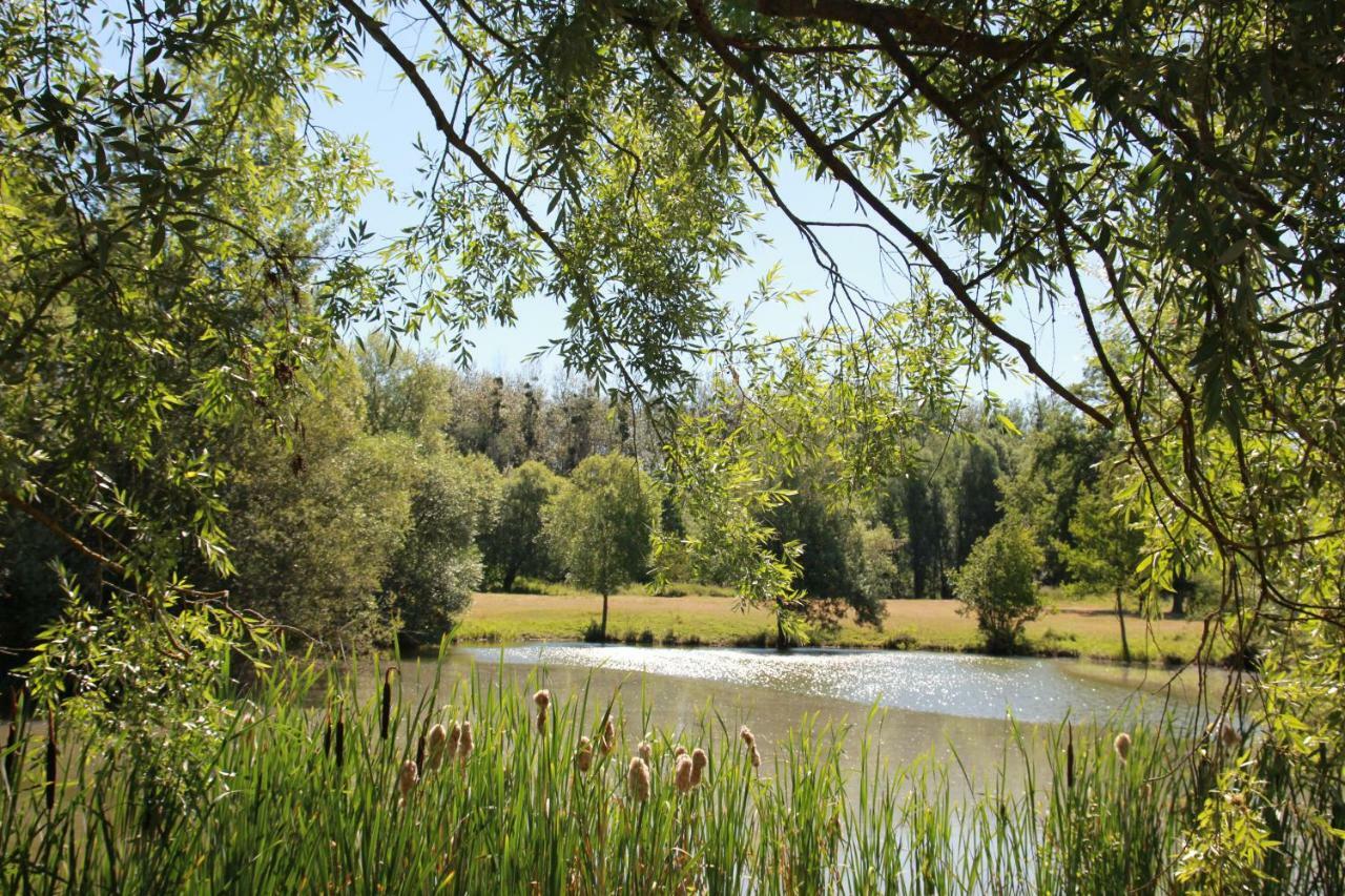 La Bergerie Du Domaine Des Buissonnets Villa Écardenville-sur-Eure Buitenkant foto